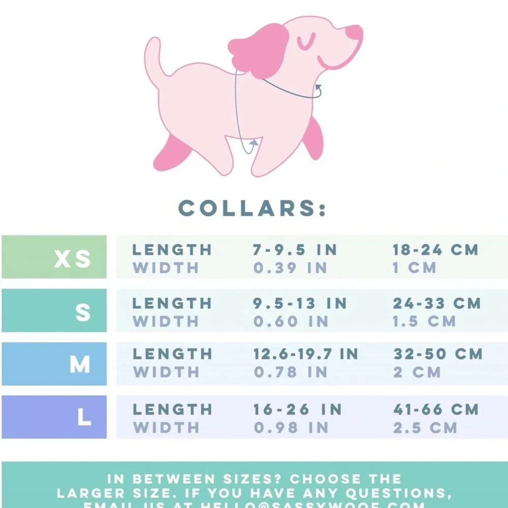 Disney charming dog